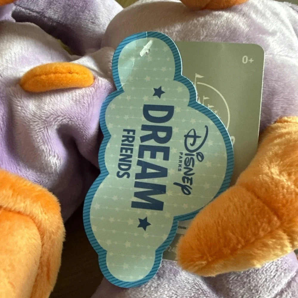 Disney parks dream